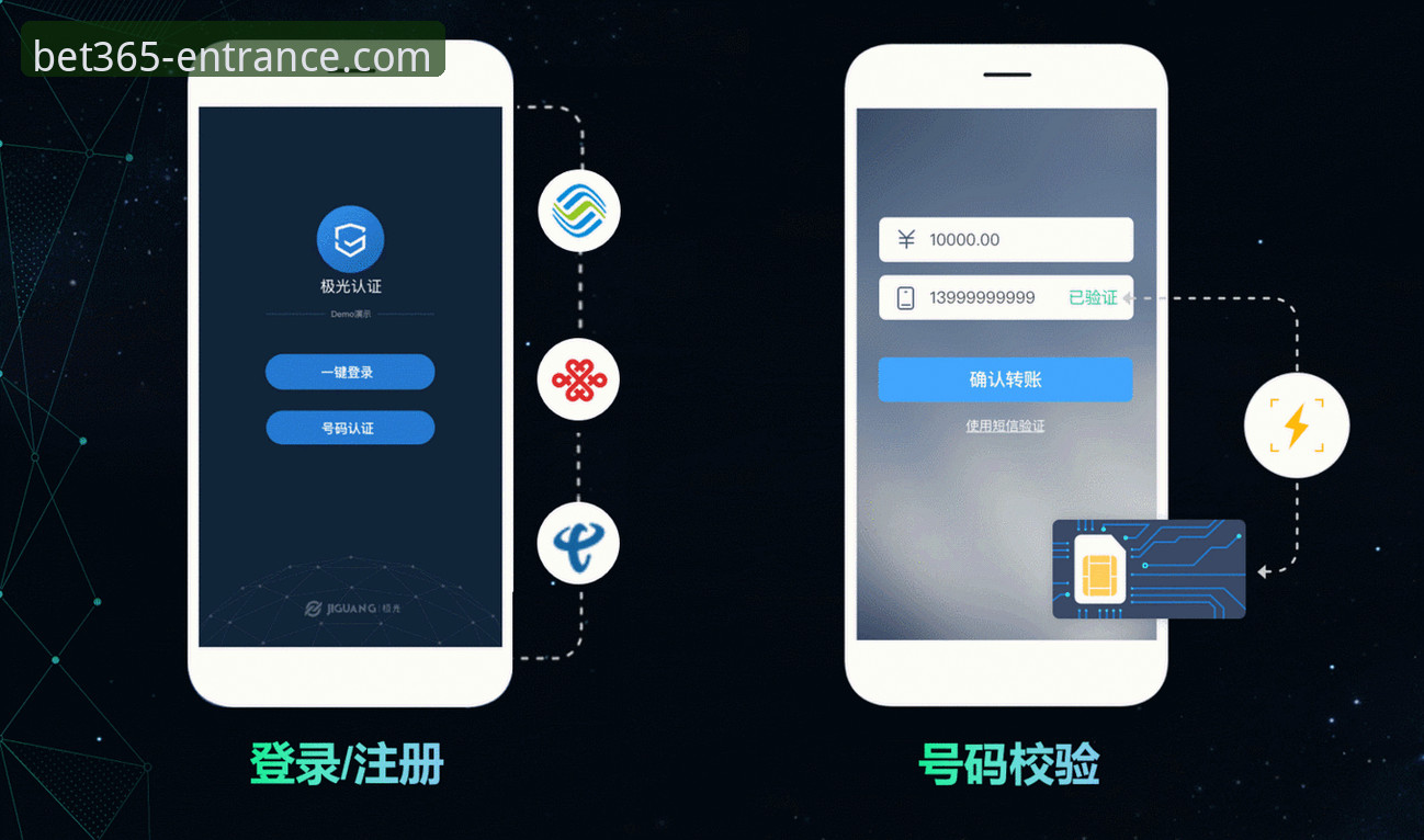 密码找回流程对比：bet365官网入口的便捷性与安全性分析