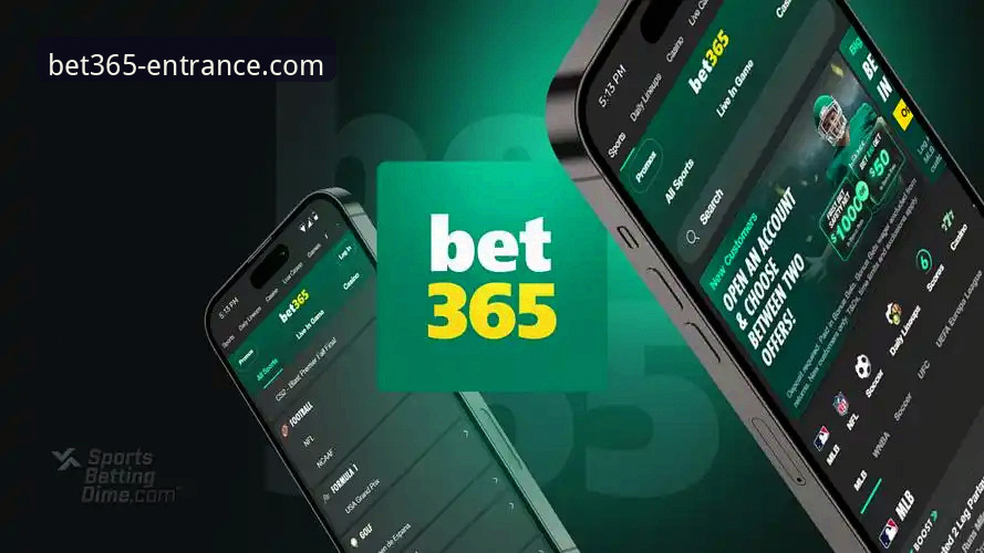 资深用户分享:bet365手机版下载推荐与官网入口实战经验